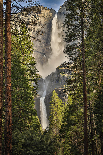 Nature, Trees, Waterfall, Precipice, Break, Fir, Spruce HD phone wallpaper
