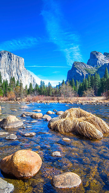 Yosemite National Park, , Yosemite backgrounds HD phone wallpaper