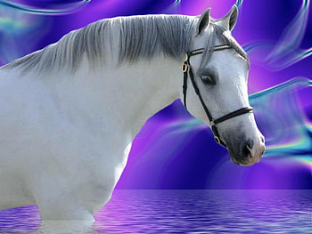 The Purple Horse, horses, abstract, ponies, ocean HD wallpaper