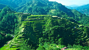 Banaue Rice Terraces, Stunning , Sarah Tremblay's post HD wallpaper