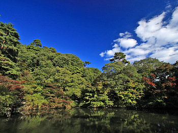 Nature, Rivers, Trees, Sky HD wallpaper