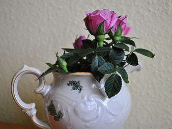 TEAPOT OF ROSES, white, teapots, roses, still life, pink, leaves, table decoration, crockery, flowers HD wallpaper