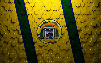 Flag of Hortolandia, honeycomb art, Hortolandia hexagons flag, Hortolandia 3d hexagons art, Hortolandia flag HD wallpaper