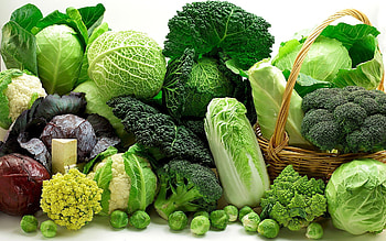 Cabbage family, Vegetables HD wallpaper