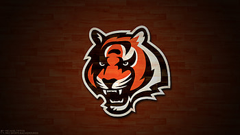 Cincinnati, Ohio travels, Cincinnati Bengals, Ultra HD wallpaper