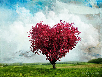 Love tree, sky grass, love, red, heart, tree HD wallpaper