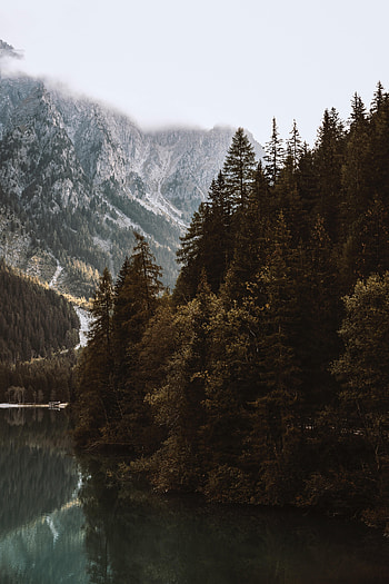 Nature, Trees, Mountains, Lake, Forest, Fog, Fir, Spruce HD phone wallpaper