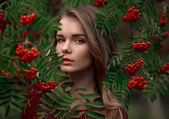 Berries, lady, pretty, red HD wallpaper