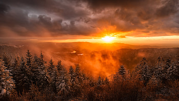 Frozen Green Trees Forest With Fog Landscape View Of Mountains During Sunset Nature HD wallpaper