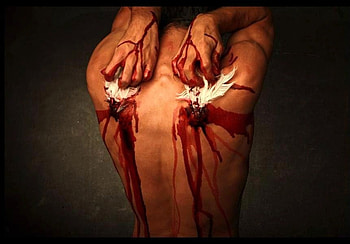 Lost Wings, wings, blood, abstract, fantasy HD wallpaper