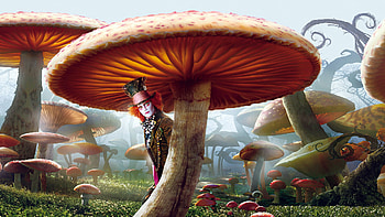Mad Hatter, , Background HD wallpaper