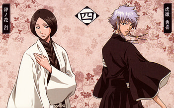 division n�4, kotetsu, capitaine, 13, 4, retsu, bleach, gotei, unohana, anime, isane, vice-capitaine, symbole, division HD wallpaper