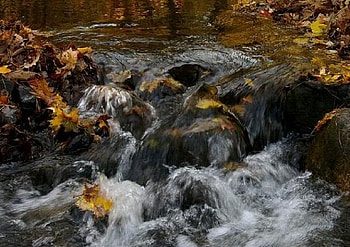 Rapid River, river, rapid, water, rock HD wallpaper