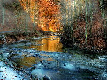 Winter morning, river, winter, frost, frozen, morning, reflection, snow, trees, nature, water, water stream, forest, ice, stream HD wallpaper
