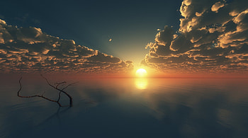 landmark in the sea, sea, clouds, dead tree, sunset HD wallpaper