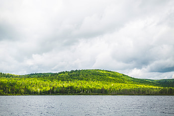 Nature, Rivers, Trees, Sky, Clouds, Forest, Hill HD wallpaper