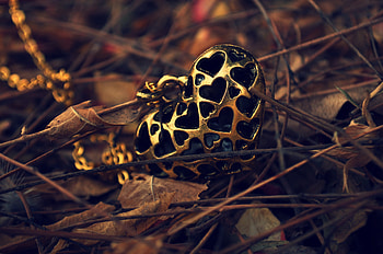 Hearts, Objects HD wallpaper