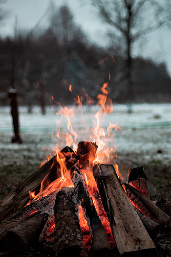 Nature, Fire, Bonfire, Flame, Firewood, To Burn, Burn HD phone wallpaper