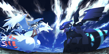 Zekrom vs Reshiram - Pokemon () (79259) HD wallpaper