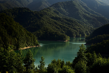 Landscape, Trees, Nature, Mountains, Italy, Lake HD wallpaper