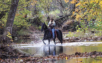 Cowgirl Autumn Day, Animals, Day, Horse, Autumn, Cowgirl HD wallpaper