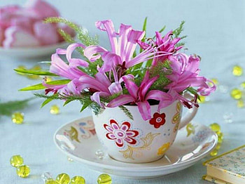 Good morning spring !, morning, other, floral, cup, pink, simple, abstract, flowers, joy, saucer HD wallpaper