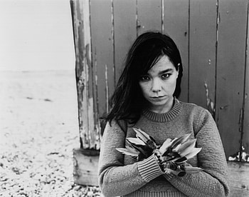 Bjork (Celebs), Bjork's , Captivating ry, Music icon HD wallpaper
