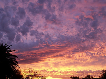 sunset, purple, grey, red, clouds, sky HD wallpaper