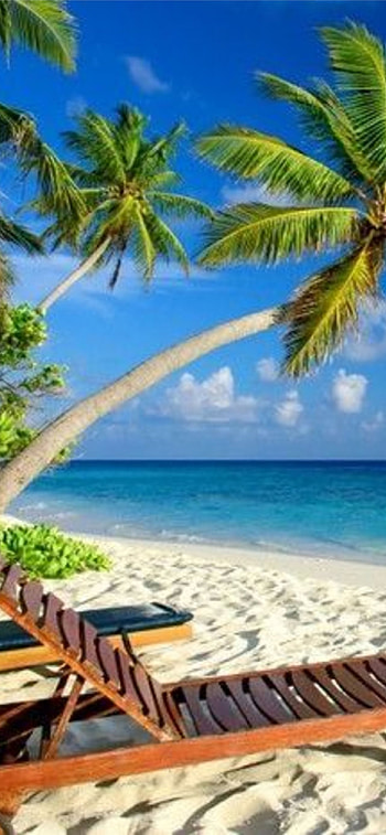 Zanzibar , , Scenic views, Digital escape HD phone wallpaper