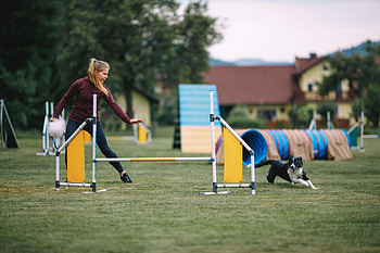 Essential agility training, Training skills elements, Skills elements team, Every team should HD wallpaper