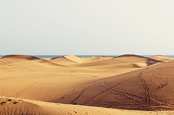 Dunes, desert, coast, nature HD wallpaper