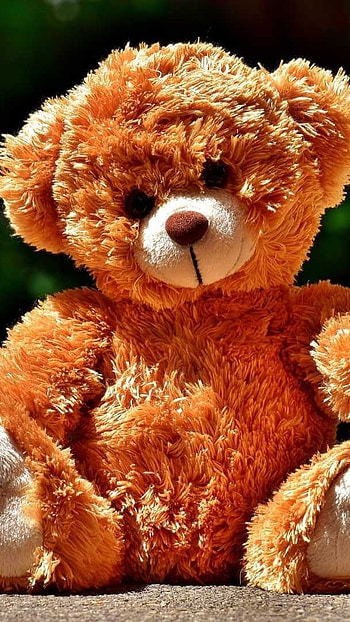 Teddy Bear Ke, Brown, Teddy Bear HD phone wallpaper
