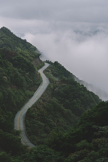 Nature, Mountains, Road, Forest, Fog, Height, Slope HD phone wallpaper