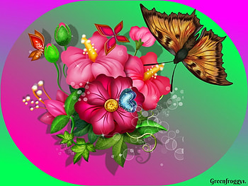PINK AND GREEN ABSTRACT, PRETTY, GREEN, CREATION, PINK HD wallpaper