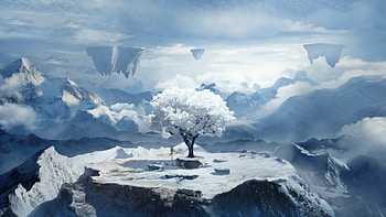 A Lonley Winter HD wallpaper