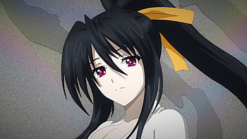 Akeno Himejima, High School DxD, anime girl HD wallpaper