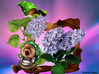 LILACS FOR VIVVY, LILACS, GNOME, FRAME, CREATION HD wallpaper