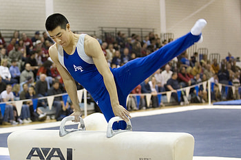 Man, Equipment exercise, Fitness device, Pommel horse HD wallpaper