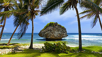 Caribbean islands, plants, vacation, nice, beach, shore, sands, water, islands, ocean, palm trees, palms, sea, exotic, beautiful, rocks, summer, rest, nature, sky, Caribbean, lovely, stonem HD wallpaper