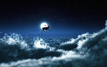 Santa Reindeer, holidays, celebrations, christmas HD wallpaper