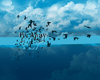 Fly Away, sea, birds, sky, ocean HD wallpaper