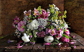 Still Life, wooden, daisies, beauty, rose, white roses, petals, pink petals, white, roses, romance, beautiful, pink, wood, pretty, daisy, with love, white rose, nature, romantic, pink flowers, flowers, lovely, for you HD wallpaper