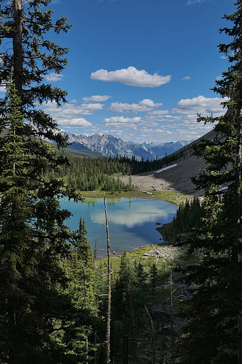 Landscape, Nature, Trees, Mountains, Lake, Valley HD phone wallpaper