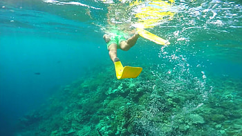 Snorkeling, Man with Yellow Fins, Coral Reef HD wallpaper