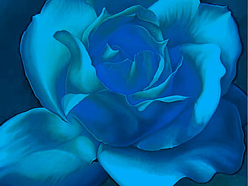 A special rose for Jackii, blue, rose, black, abstract, special HD wallpaper