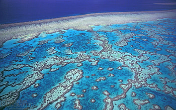 Wistari Reef, Great Barrier Reef HD wallpaper
