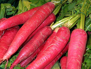 Radish , Food HD wallpaper