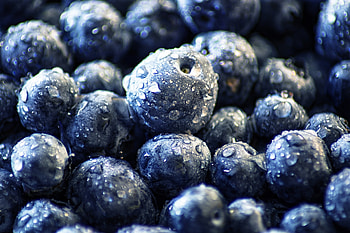 Huckleberry Food, Blueberries, XFCE HD wallpaper