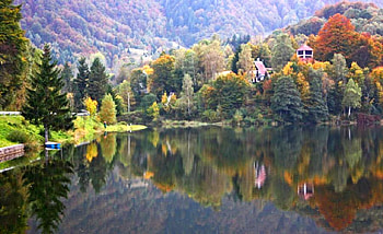 Colors of Autumn, , trees, colors, cool, autumn, lake HD wallpaper