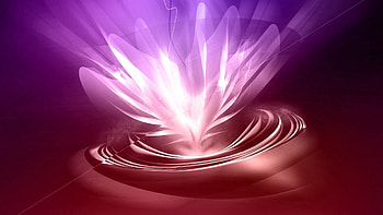 Abstract, Flower, Shine, Light, Rays, Beams, Brilliance, Lily HD wallpaper